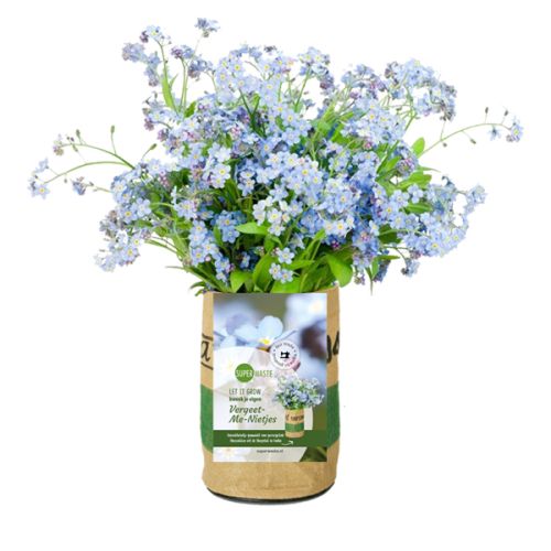 Grow bag flowers or herbs - Image 6